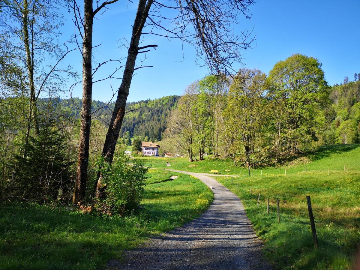 Apartmán B4 Albmatte Menzenschwand-Hinterdorf Exteriér fotografie