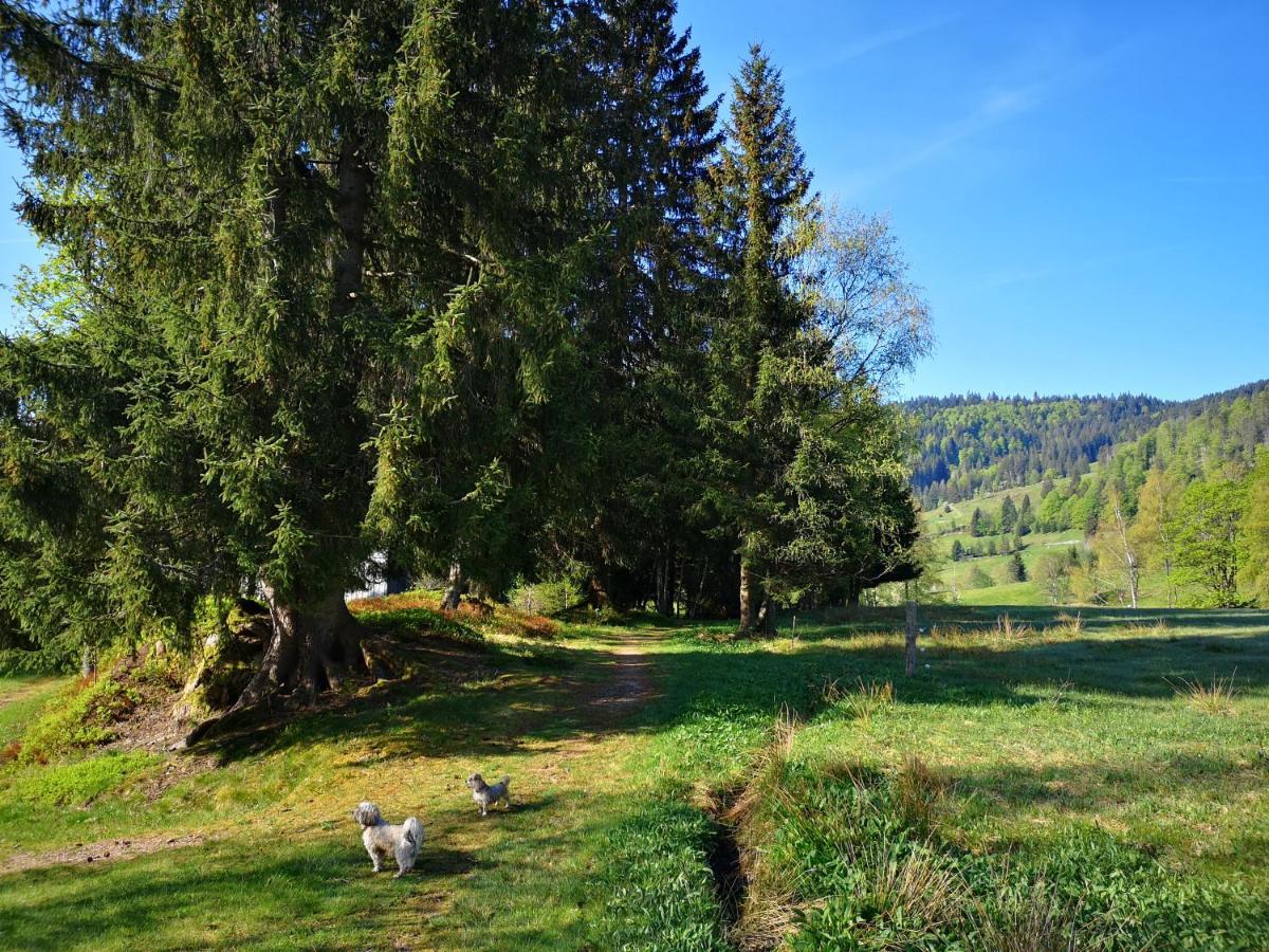 Apartmán B4 Albmatte Menzenschwand-Hinterdorf Exteriér fotografie