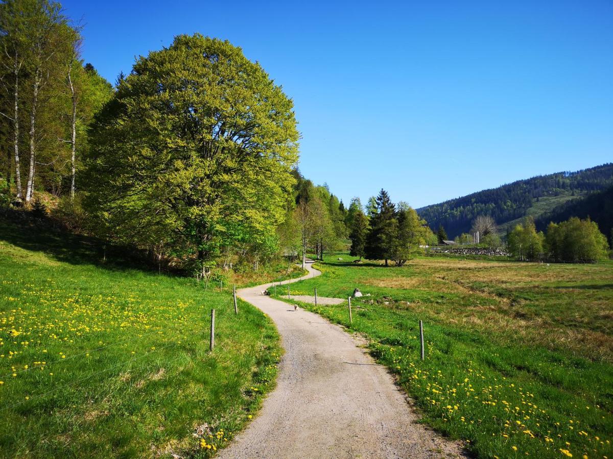 Apartmán B4 Albmatte Menzenschwand-Hinterdorf Exteriér fotografie