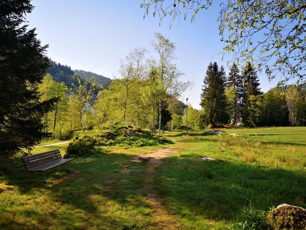 Apartmán B4 Albmatte Menzenschwand-Hinterdorf Exteriér fotografie