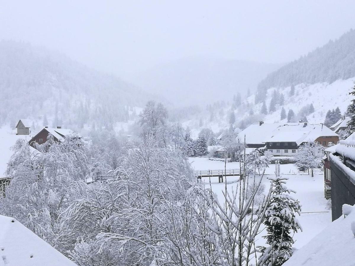 Apartmán B4 Albmatte Menzenschwand-Hinterdorf Exteriér fotografie