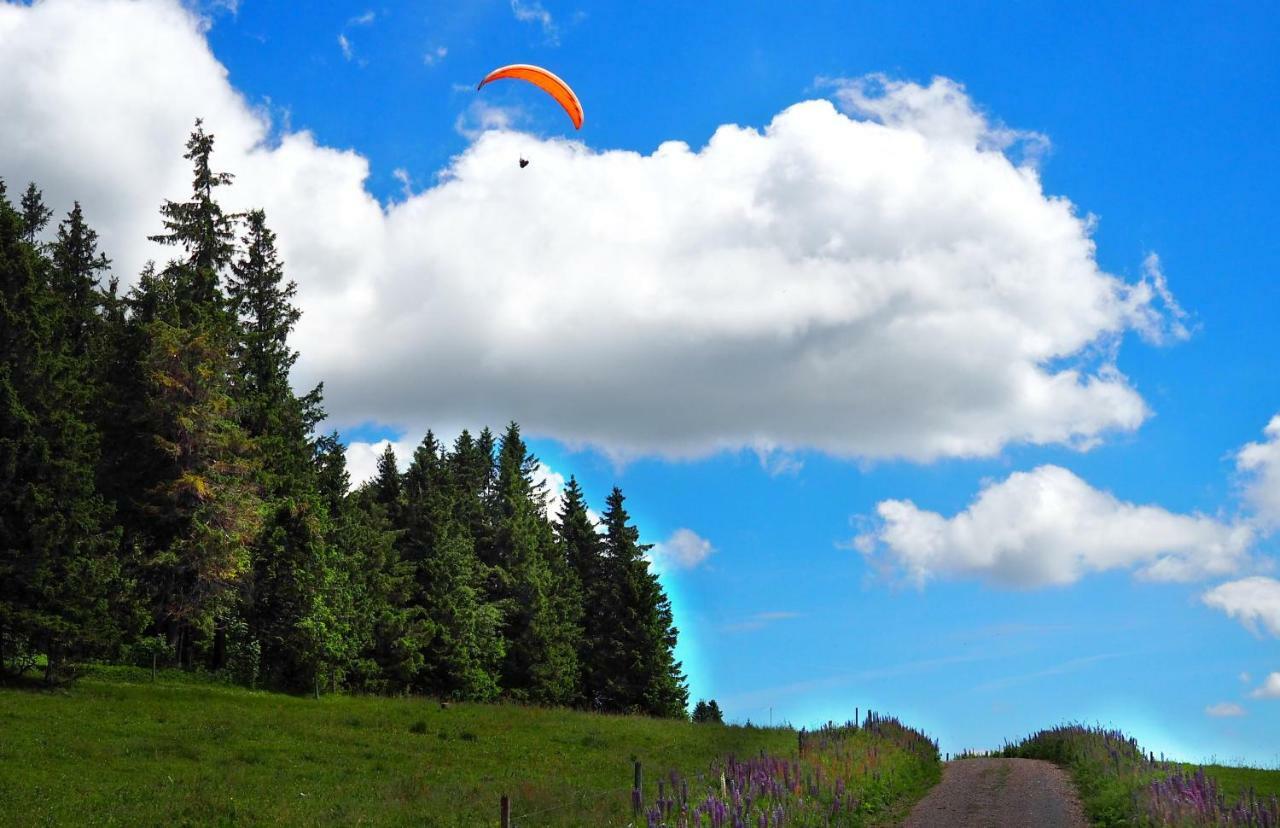 Apartmán B4 Albmatte Menzenschwand-Hinterdorf Exteriér fotografie