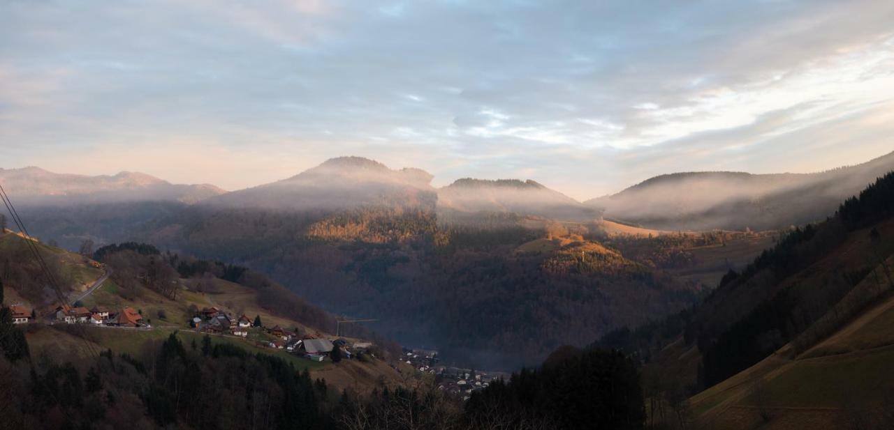 Apartmán B4 Albmatte Menzenschwand-Hinterdorf Exteriér fotografie