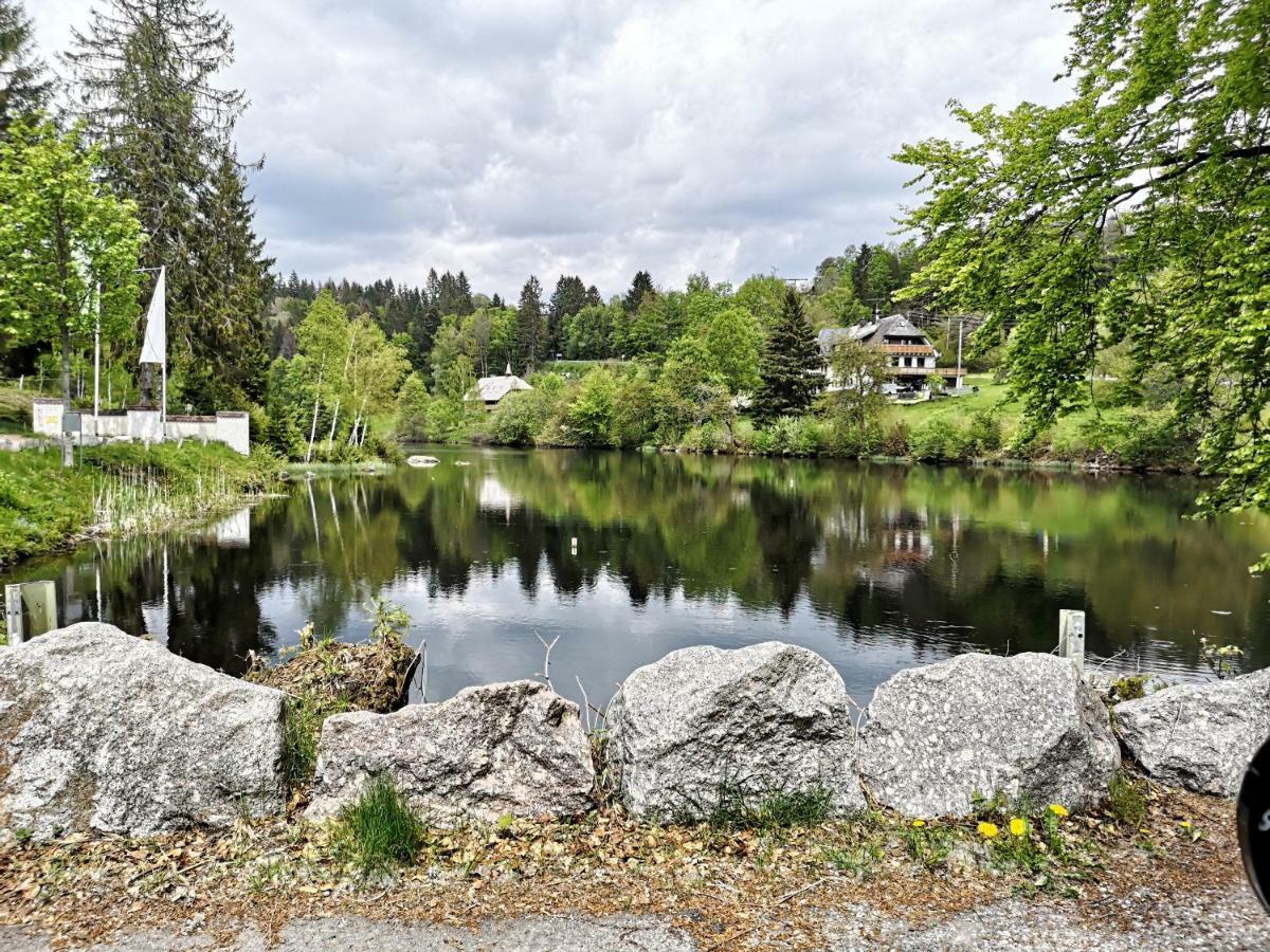 Apartmán B4 Albmatte Menzenschwand-Hinterdorf Exteriér fotografie
