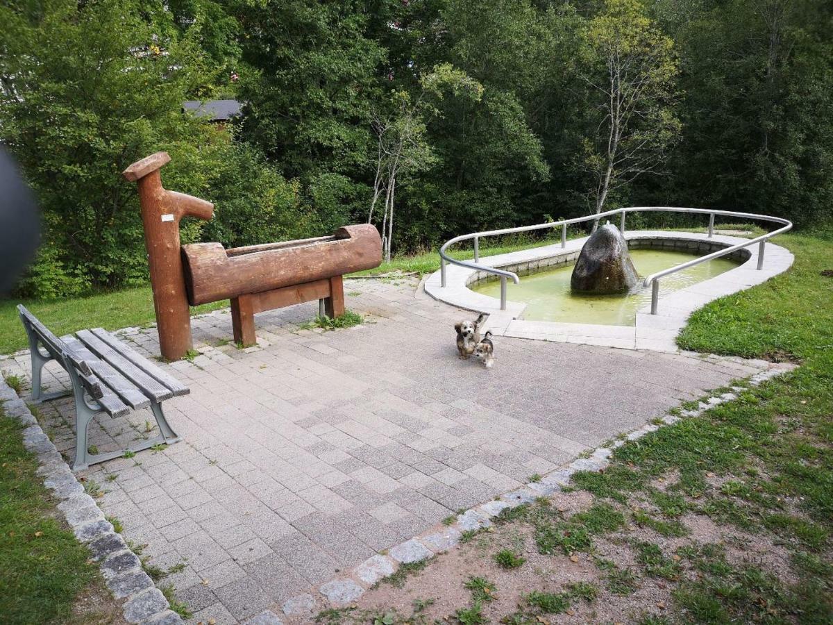 Apartmán B4 Albmatte Menzenschwand-Hinterdorf Exteriér fotografie