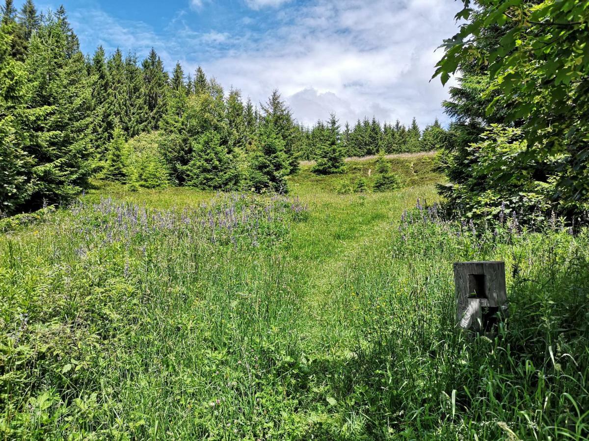 Apartmán B4 Albmatte Menzenschwand-Hinterdorf Exteriér fotografie