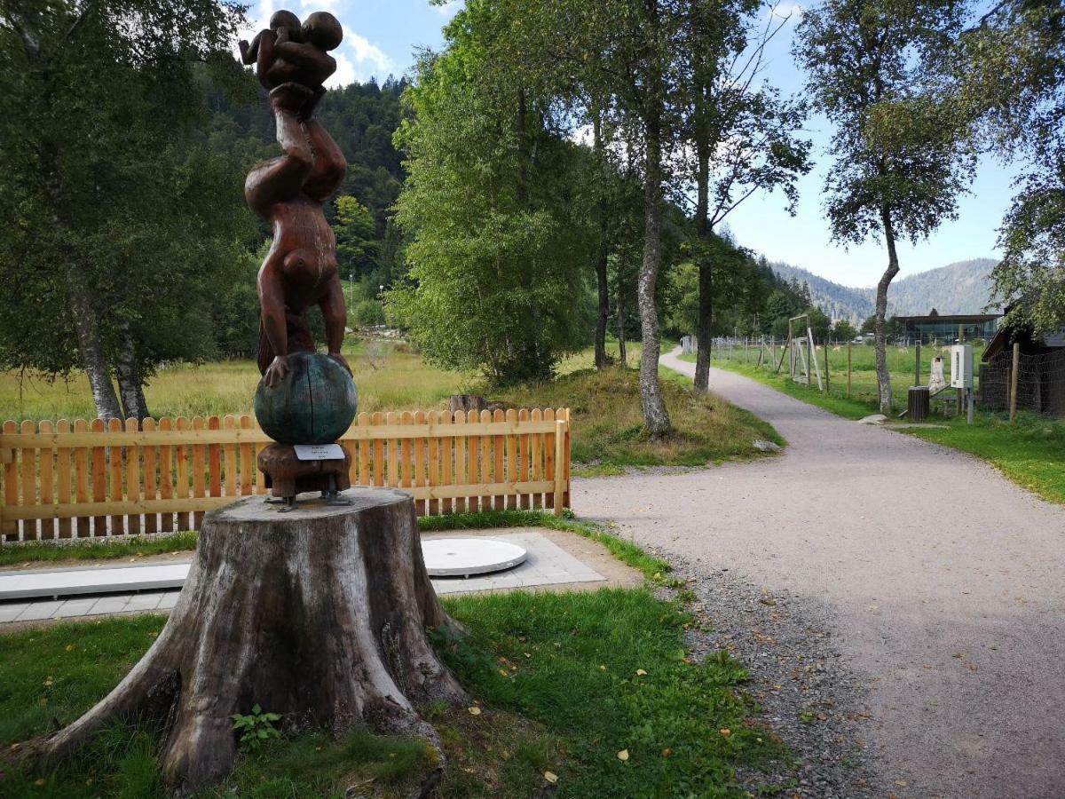 Apartmán B4 Albmatte Menzenschwand-Hinterdorf Exteriér fotografie