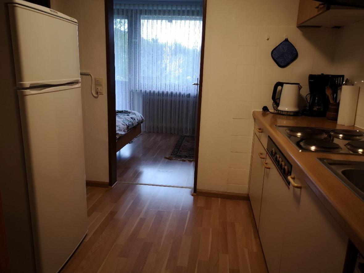 Apartmán B4 Albmatte Menzenschwand-Hinterdorf Exteriér fotografie
