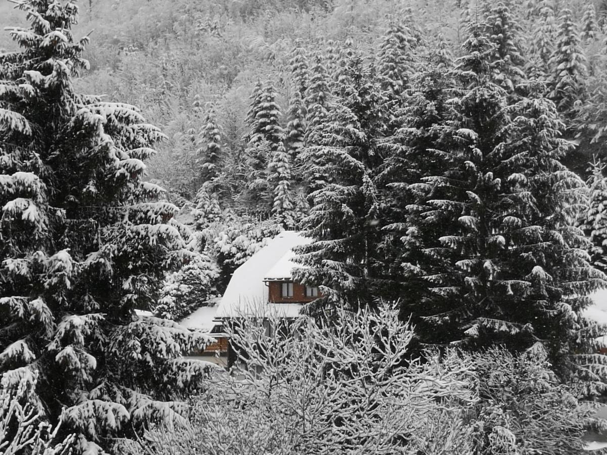 Apartmán B4 Albmatte Menzenschwand-Hinterdorf Exteriér fotografie